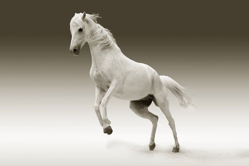 Time-Surfing Sleipnir